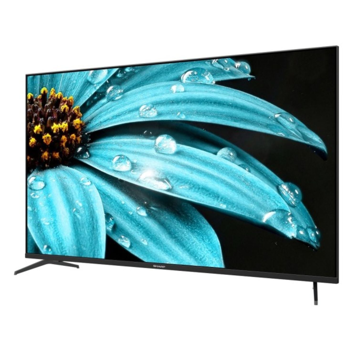 تلفزيون من Sharp الذكي جوجل 50 بوصة بدون إطار بدقة 4K UHD تلفزيون من Sharp الذكي جوجل 50 بوصة بدون إطار بدقة 4K UHD